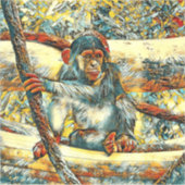 TierArt_Chimpanzee_011 Aufkleber (Vorderseite)