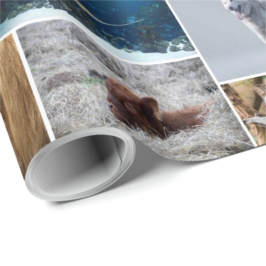 Tierart Geschenkpapier (Rolleneckpunkt)