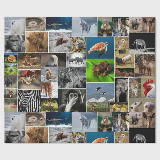 Tierart Geschenkpapier (Flach)