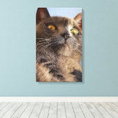 Tierart Leinwanddruck (Insitu (Holzboden))