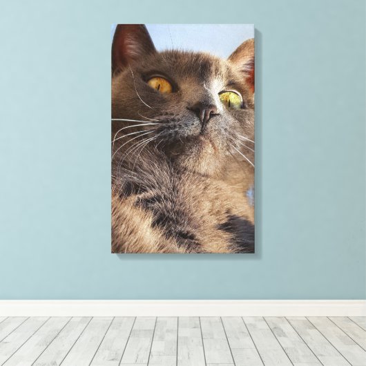 Tierart Leinwanddruck (Insitu (Holzboden))