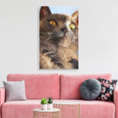 Tierart Leinwanddruck (Insitu (Wohnzimmer))