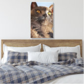 Tierart Leinwanddruck (Insitu (Schlafzimmer))