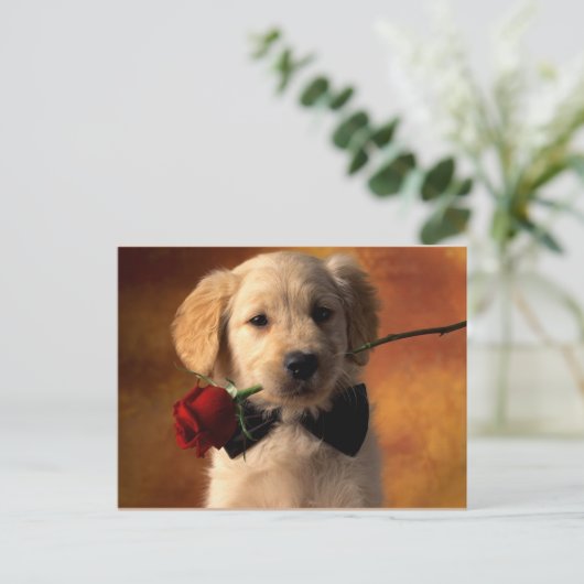 Tierart Postkarte (Stehend Vorderseite)