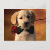 Tierart Postkarte (Vorderseite)