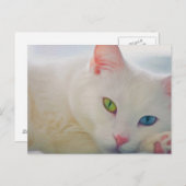 Tierart Postkarte (Vorne/Hinten)