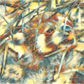 TierArt_RedPanda_003 Aufkleber (Vorderseite)