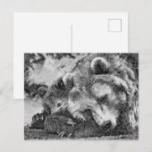 TierArtBW_Bear_002 Postkarte (Vorne/Hinten)