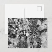 TierArtBW_Cheetah_008 Postkarte (Vorne/Hinten)