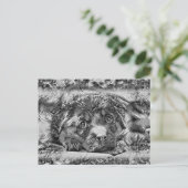 TierArtBW_Dog_001 Postkarte (Stehend Vorderseite)