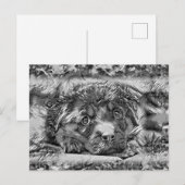 TierArtBW_Dog_001 Postkarte (Vorne/Hinten)