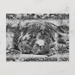 TierArtBW_Dog_001 Postkarte