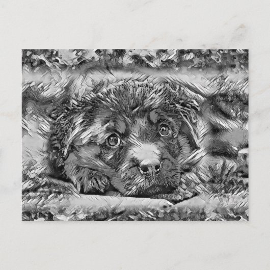 TierArtBW_Dog_001 Postkarte (Vorderseite)