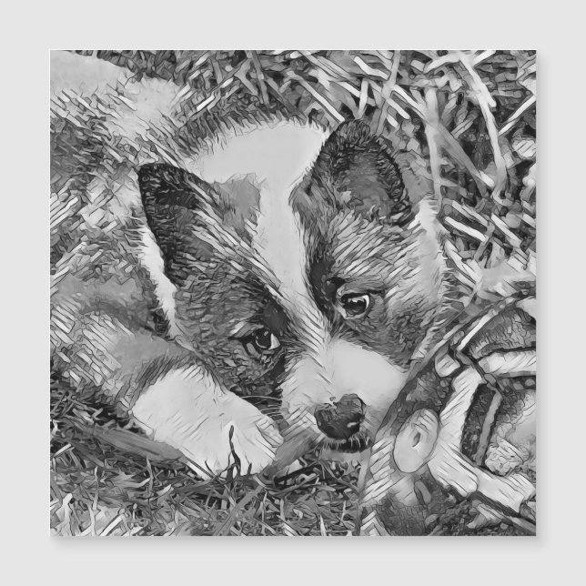 TierArtBW_Dog_012 Magnetkarte (Vorderseite)