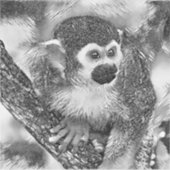 TierArtBW_Monkey_002 Aufkleber (Vorderseite)