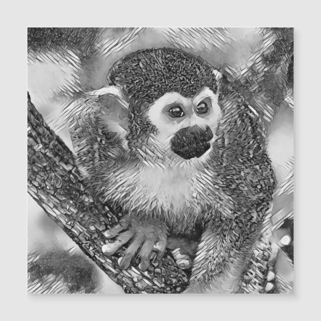 TierArtBW_Monkey_002 Magnetkarte (Vorderseite)