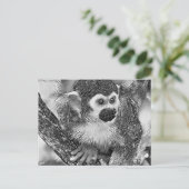 TierArtBW_Monkey_002 Postkarte (Stehend Vorderseite)