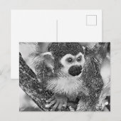 TierArtBW_Monkey_002 Postkarte (Vorne/Hinten)
