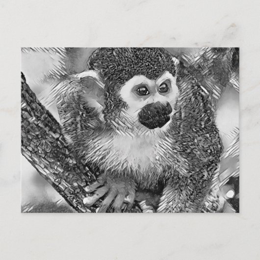 TierArtBW_Monkey_002 Postkarte (Vorderseite)