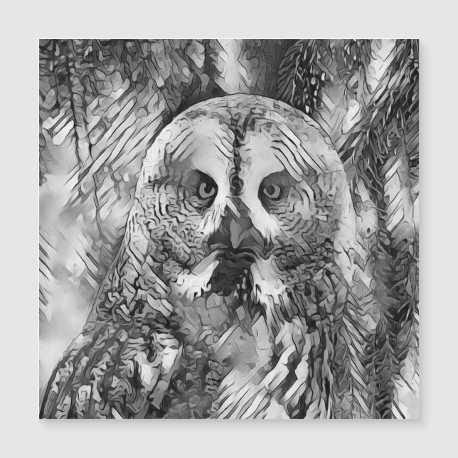 TierArtBW_Owl_001 Magnetkarte (Vorderseite)