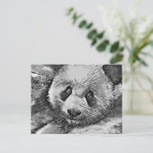 TierArtBW_Panda_001 Postkarte (Stehend Vorderseite)