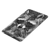 TierArtBW_Raccoon_006 Magnet (Linke Seite)