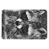 TierArtBW_Raccoon_006 Magnet (Horizontal)