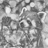TierArtBW_RedPanda_001 Aufkleber (Vorderseite)