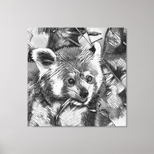 TierArtBW_RedPanda_003 Leinwanddruck (Vorderseite)
