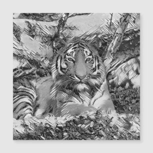 TierArtBW_Tiger_001 Magnetkarte