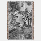 TierArtBW_Tiger_002 Decke (Vorderseite Vertikal)