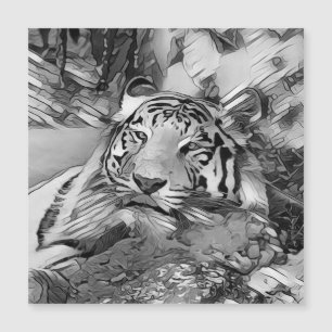 TierArtBW_Tiger_002 Magnetkarte