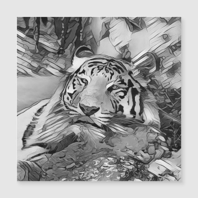 TierArtBW_Tiger_002 Magnetkarte (Vorderseite)