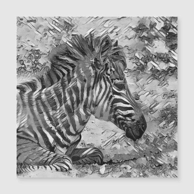 TierArtBW_Zebra_001 Magnetkarte (Vorderseite)