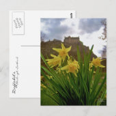 Tierarzneimittel [Postkarte] Postkarte (Vorne/Hinten)