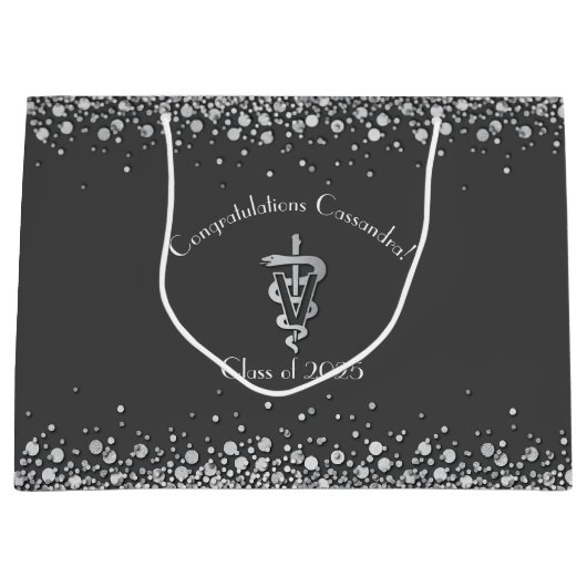 Tierarzt-Abschluss Grau Silber Große Geschenktüte (Vorderseite)
