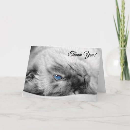 Tierarzt aus Katze Siamese Dankeskarte (Vorderseite)