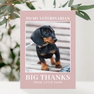 Tierarzt Danke Haustier Hund Foto Staubrosa
