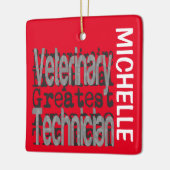 Tierarzt Sonderbeauftragter CUSTOM Keramikornament (Links)