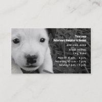 Tierarzt-u. Hundehütten-Geschäfts-Karte - Jack