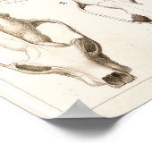 Tierärztliche Anatomie von Säugetieren Poster (Ecke)