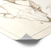 Tierärztliche Anatomie von Säugetieren Poster (Ecke)