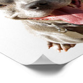 Tierärztliche Liebe für Haustiere Prüfplakat Poster (Ecke)