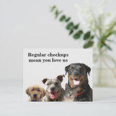 Tierärztliche Liebe - Haustiere Postkarte (Stehend Vorderseite)