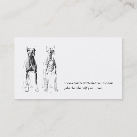 Tierärztliche Visitenkarten Visitenkarte (Rückseite)