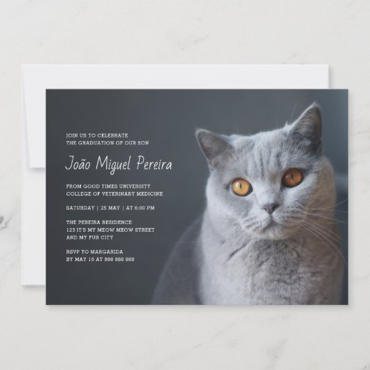 Tierärztlicher Abschluss Celebration Party Lässig Einladung (Vorderseite)