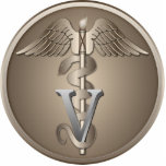 Tierärztlicher Caduceus Freistehende Fotoskulptur<br><div class="desc">Tierdoktor Emblem - VeterinärCaduceus</div>