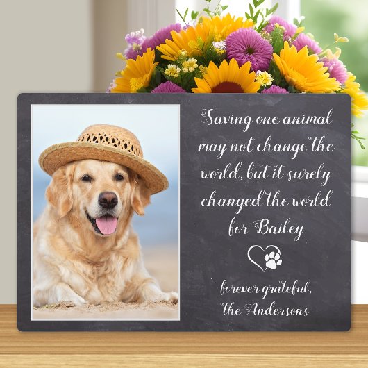 Tierärztlicher Dank Dog Pet Foto Tierarzt Fotoplatte