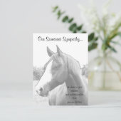 Tierärztliches Beileid Postkarte (Stehend Vorderseite)