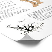 Tierarztmuskel Skelettanatomie Poster (Ecke)